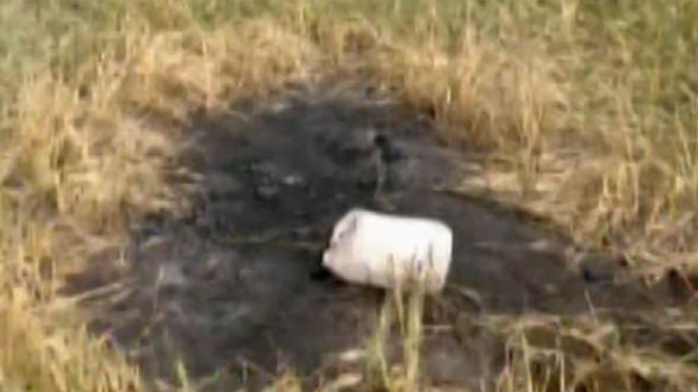 El cádaver del italiano fue encontrado quemado con nafta el 18 de octubre pasado.