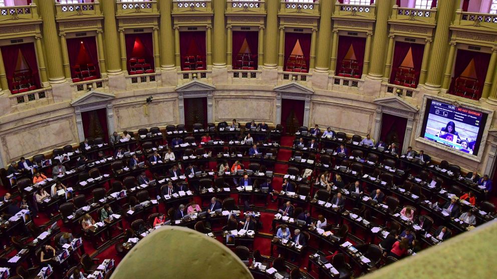 La reforma fue convertida en ley en la Cámara de Diputados. (Telám)