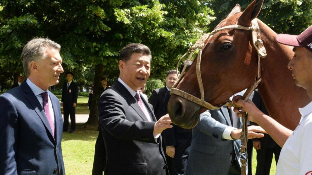 El regalo de Macri a Xi Jinping fue para reinstalar el polo en el país asiático (@asocdepolo)