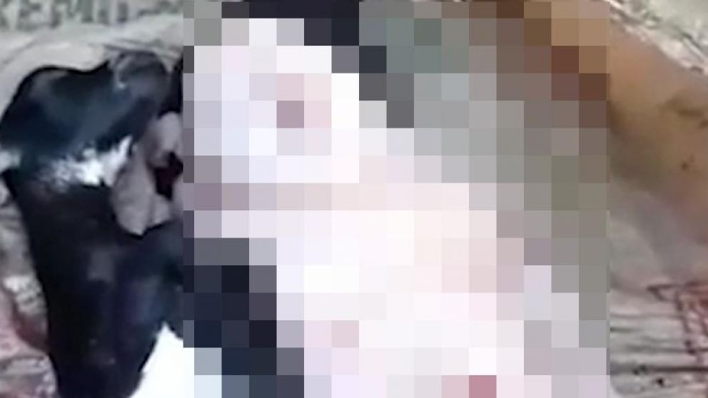 Cabra dio a luz a un "demonio mutante" con rasgos humanos