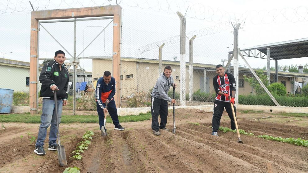 Giles Martínez, Moreno Espinoza, Villarreal y Mendieta, convierten algunos residuos en abono para las huertas.