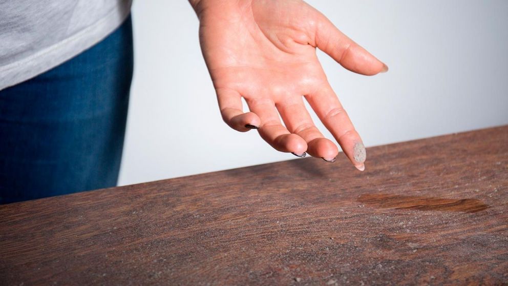 Decile chau al polvo con este turco de limpieza: no vas a necesitar plumeros o aspiradoras.