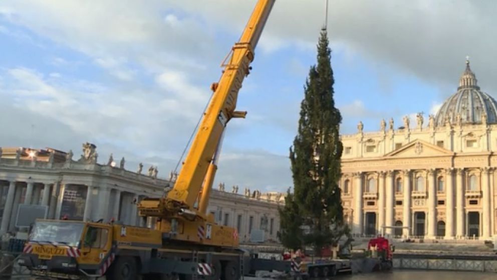 El enorme abeto fue instalado en la tradicional plaza vaticana.