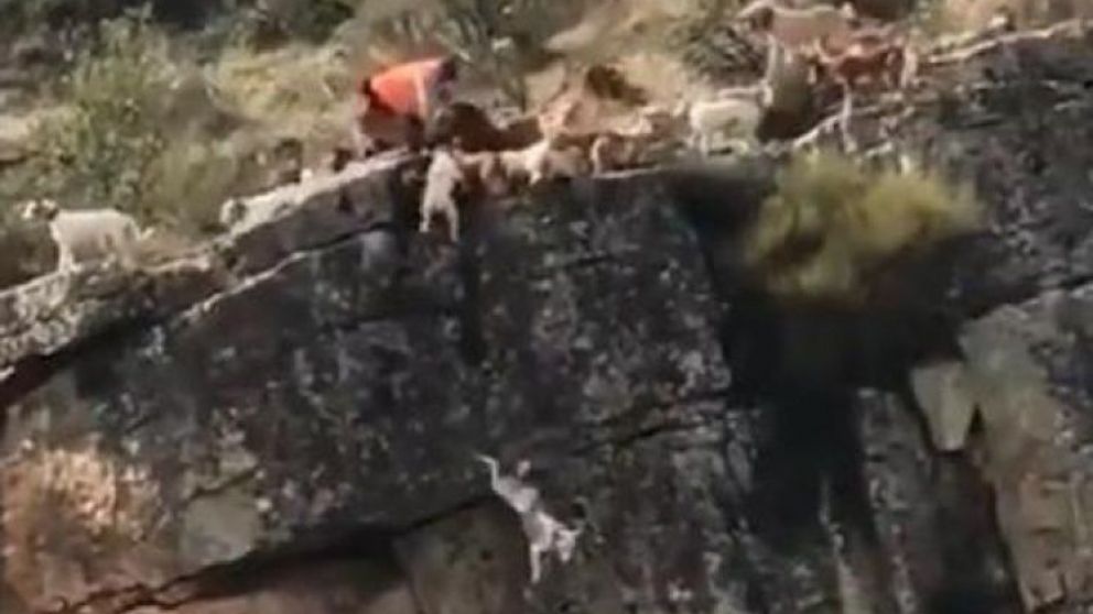 La difusión del video generó polémica en todo el mundo.