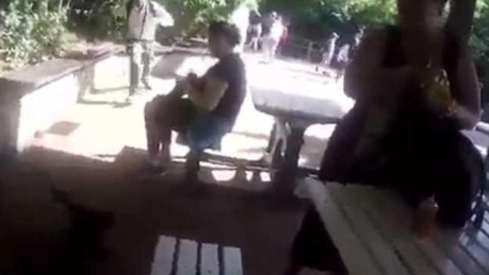 Guardaparque le dio terrible patada a mono en el Parque Iguazú