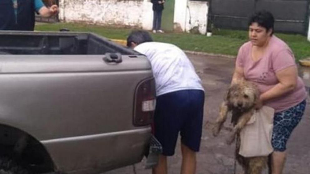 Así rescataban al animal. Su dueño, fue denunciado.
