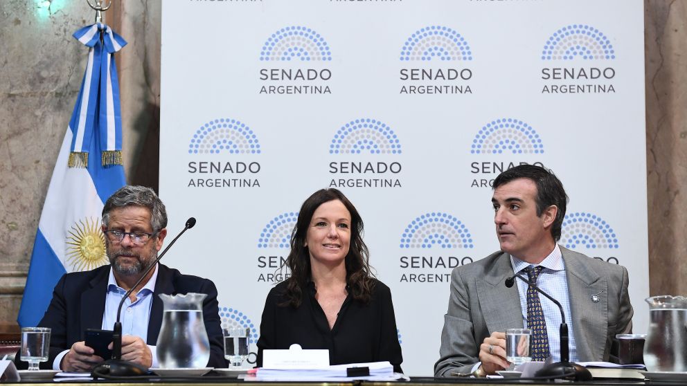 Carolina Stanley, junto a Adolfo Rubinstein y Esteban Bullrich en el Senado (Presidencia).