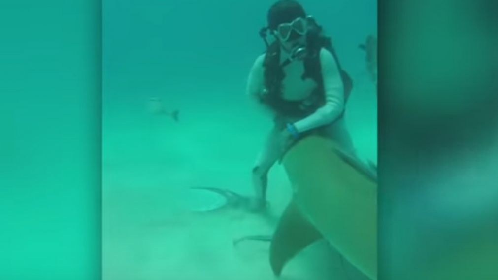 En esta imagen, se puede ver al hombre lidiando con el animal con el fin de protegerlo. (Captura de video)
