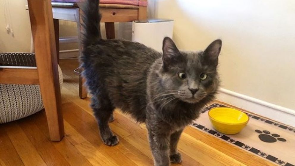 Belarus es un boom en las redes sociales.