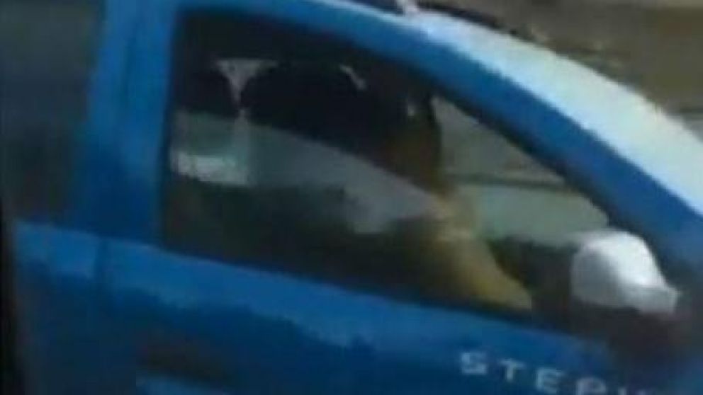 "Desenfrenados": tienen sexo en auto en movimiento y podrían acabar en prisión