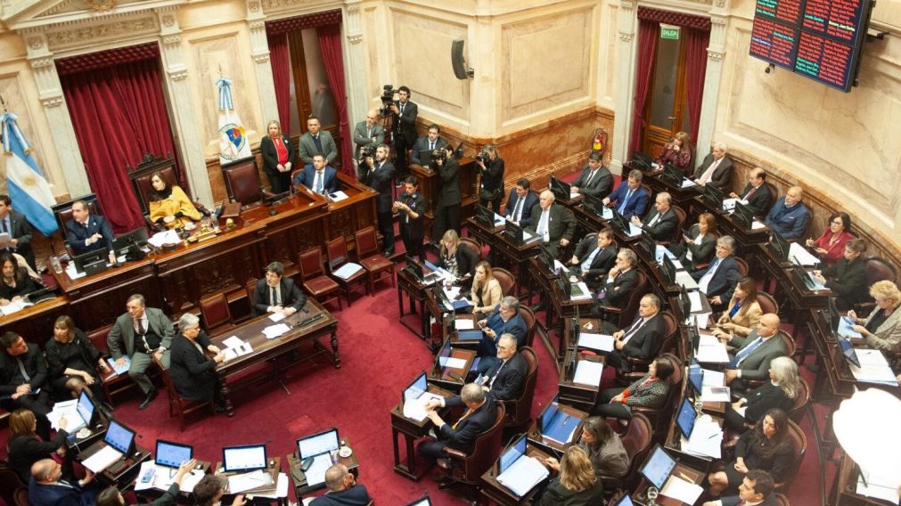 El Senado sancionó la declaración de emergencia en pediatría por un año.
