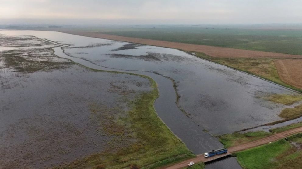 El Gobierno de Javier Milei declaró el estado de emergencia agropecuaria en Buenos Aires y San Juan (Gentileza ABC Saladillo).