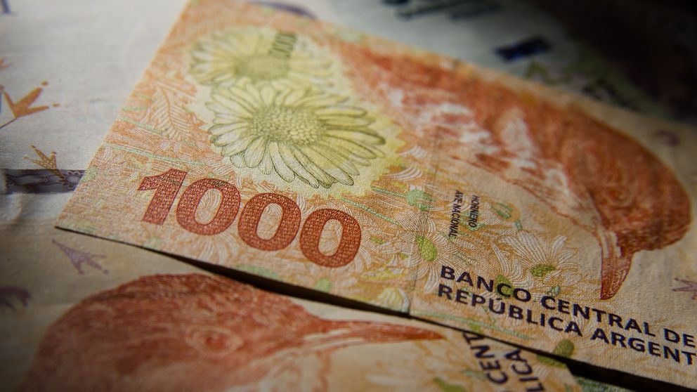 "Plus" de mitad de a�o para jubilados: �Qu� bono pagar� la ANSES en julio?