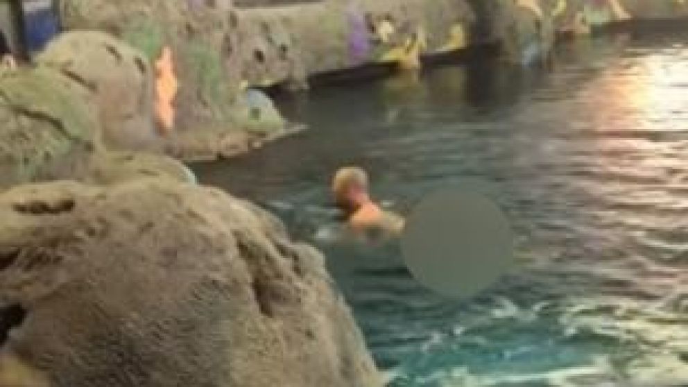 Se desnudó y se tiró a nadar en acuario lleno de tiburones