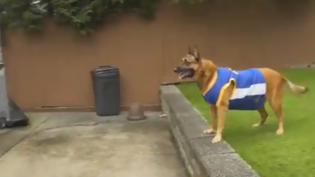 Koa se volvió furor en las redes después de su gran actuación (Captura de video).