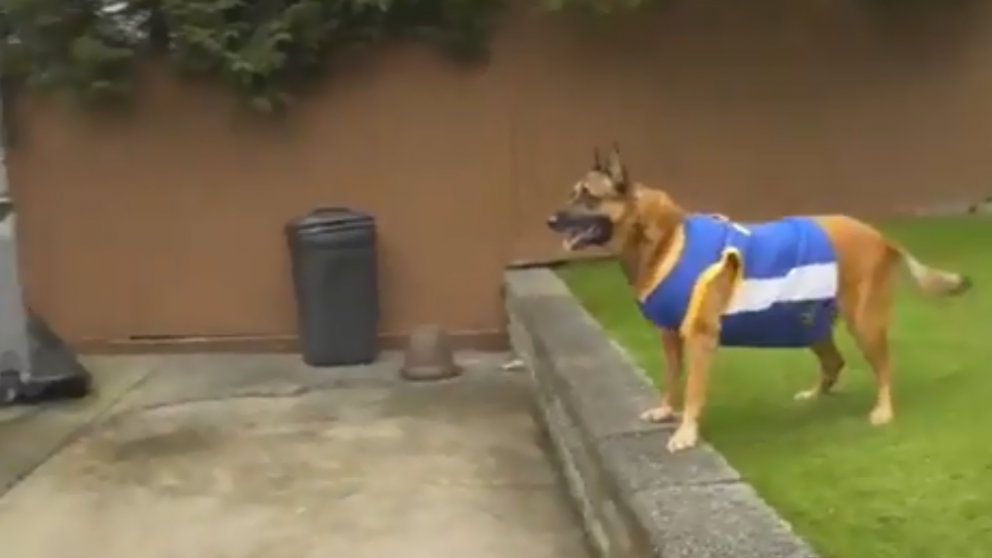 Koa se volvió furor en las redes después de su gran actuación (Captura de video).