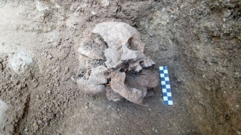 La calavera con la piedra en la boca sorprendió a los arqueólogos.
