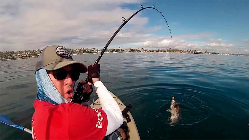 Un australiano atrapó la monstruosa especie (imagen ilustrativa).