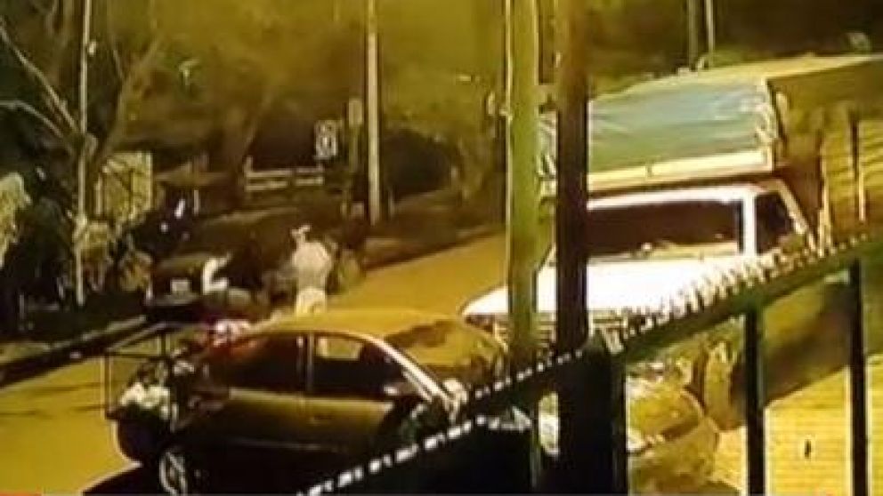 La víctima no lamentó ninguna perdida material por el accionar de su mascota. (Captura).