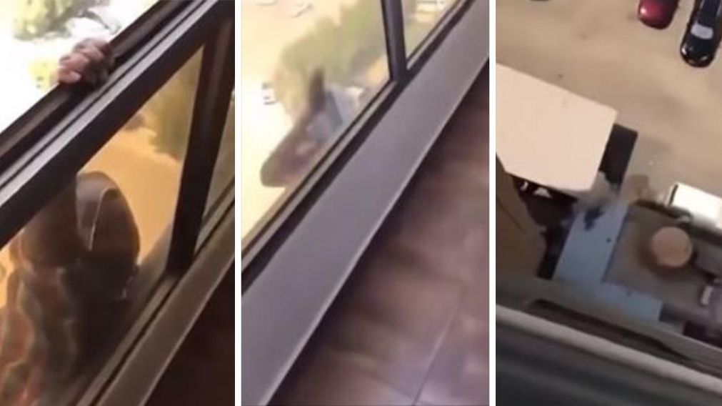 La mujer declar� que intentaba escapar de su asesina. (Captura).