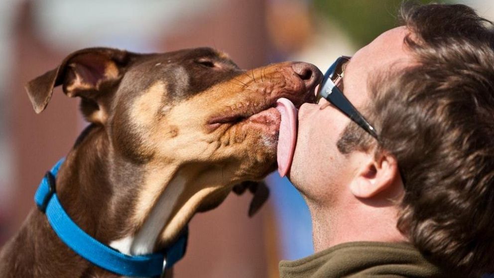 Por besar a su perro, perdió la nariz, los brazos y las piernas