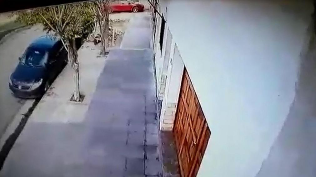 Alba�iles ayudan a ladrones a entrar a casa para robar 23 mil d�lares