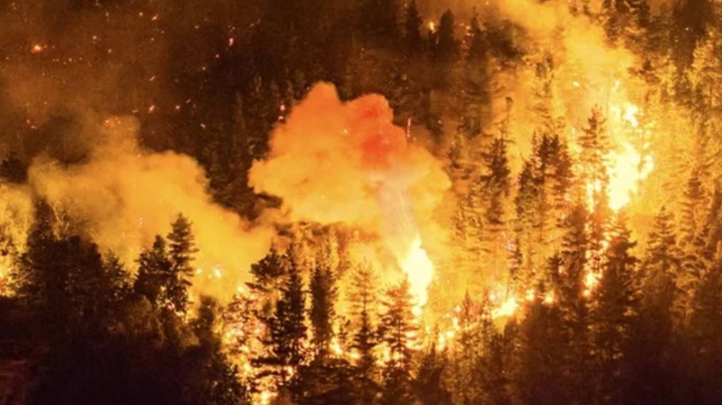 Se reactivaron focos de incendio en el Parque Nacional Los Alerces y la situaci�n es cr�tica