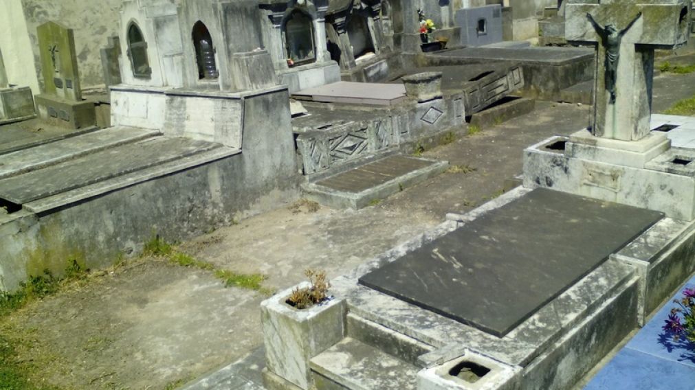 El delincuente saqueaba las tumbas del Cementerio Municipal de Ezpeleta.