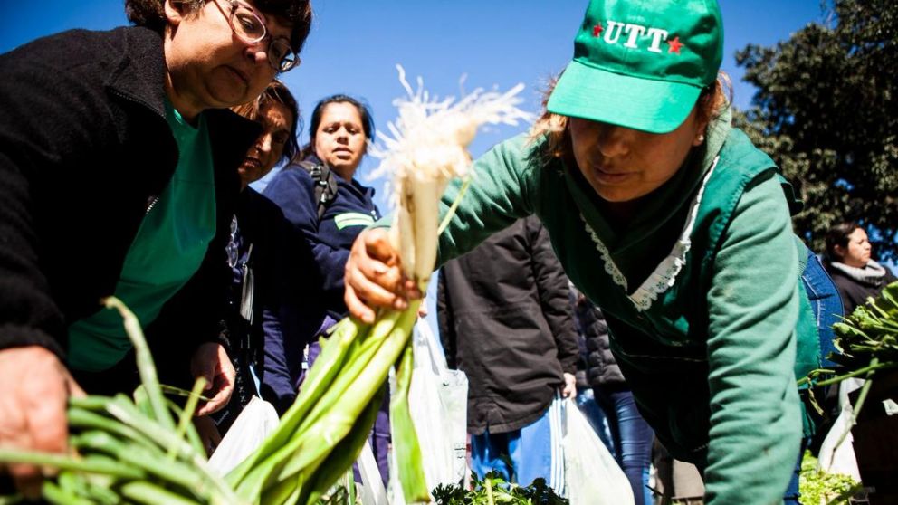 Los representantes solicitan al Gobierno políticas activas. (Twitter).