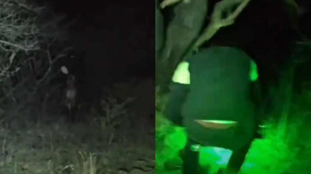 Los amigos exploraban un descampado cuando el fantasma de la famosa leyenda apareci� y los oblig� a correr (Captura TikTok).