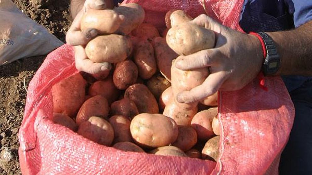 El sujeto deberá cumplir la donación por lo que dure la probation. (Imagen ilustrativa).