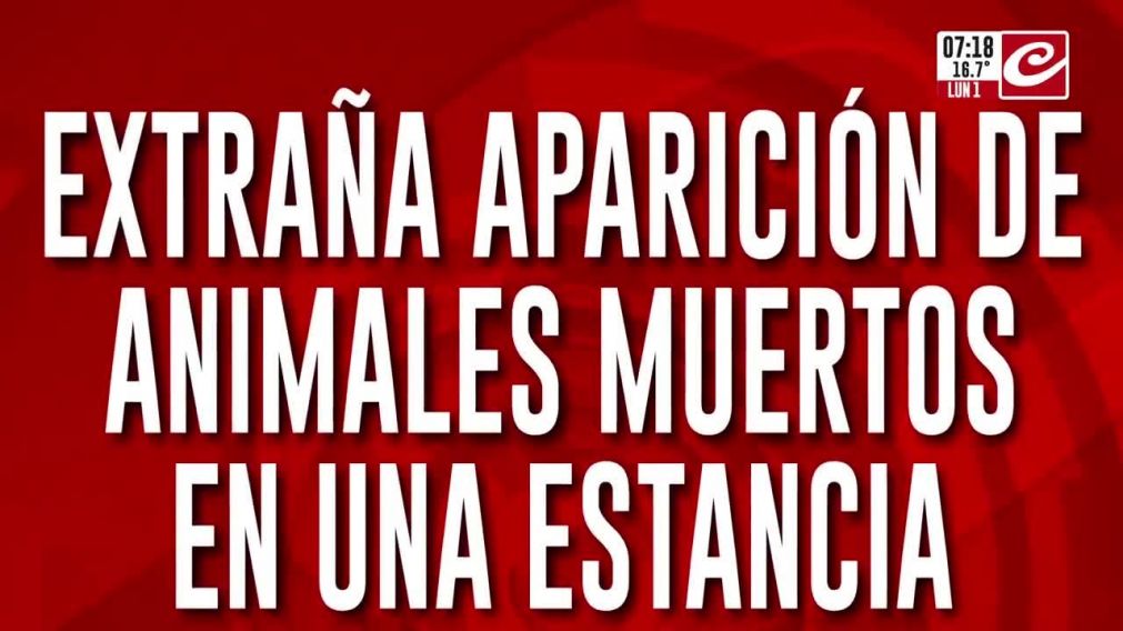 Crónica HD