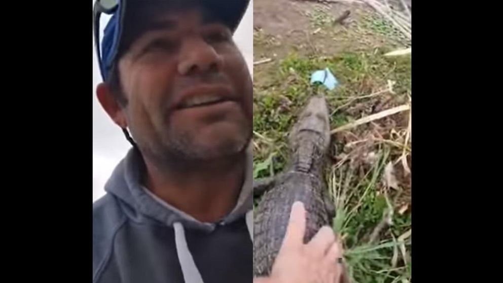 El autor del hecho aun no fue detenido, mientras que los animales fueron rescatados.