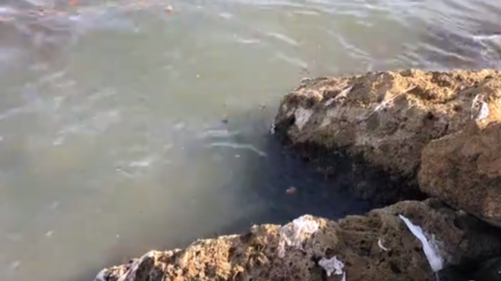 Los gobernantes prometieron revertir la situación.