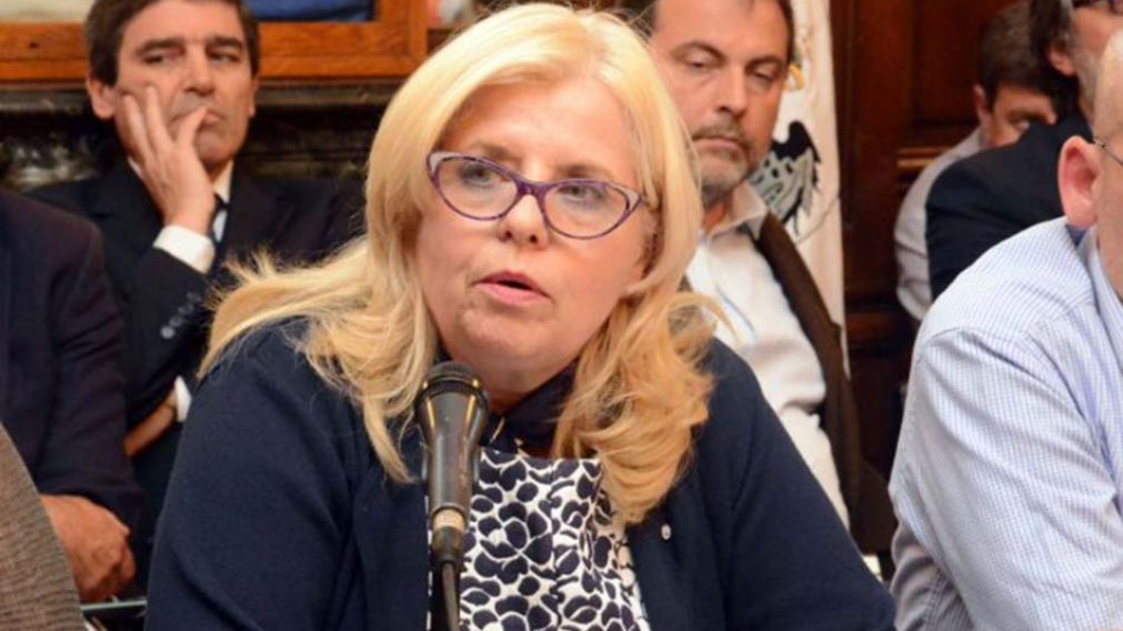La ministra de Salud de la Ciudad confirmó que habrá más pediatras.