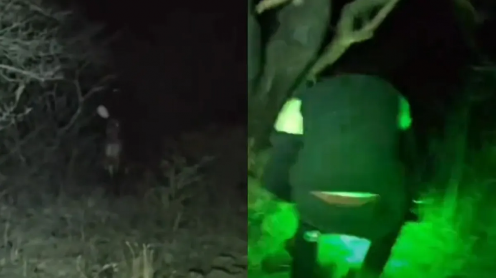 Aterrador video: dos amigos grabaron al fantasma del Jinete sin cabeza y el momento causó escalofríos