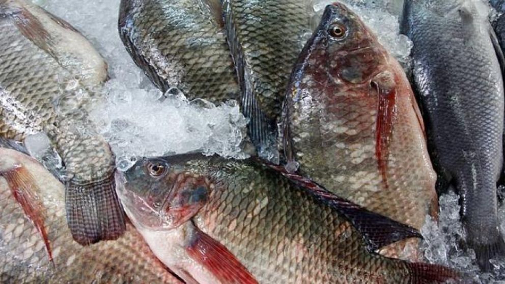 Las im�genes se viralizaron por las redes sociales.