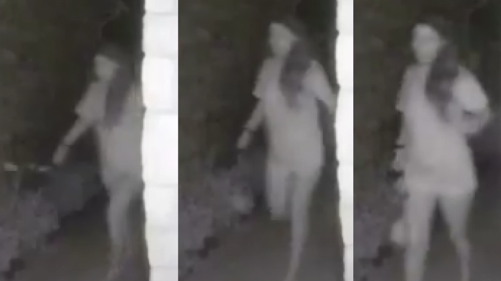 Las imágenes parecen sacadas de una película de terror (Captura de video).