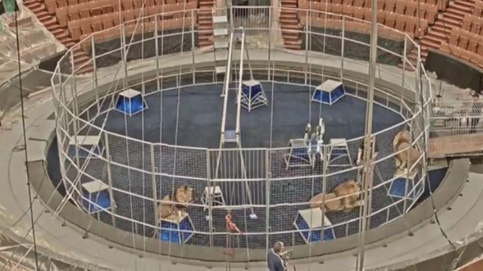 Las imágenes fueron difundidas por el director de la institución.