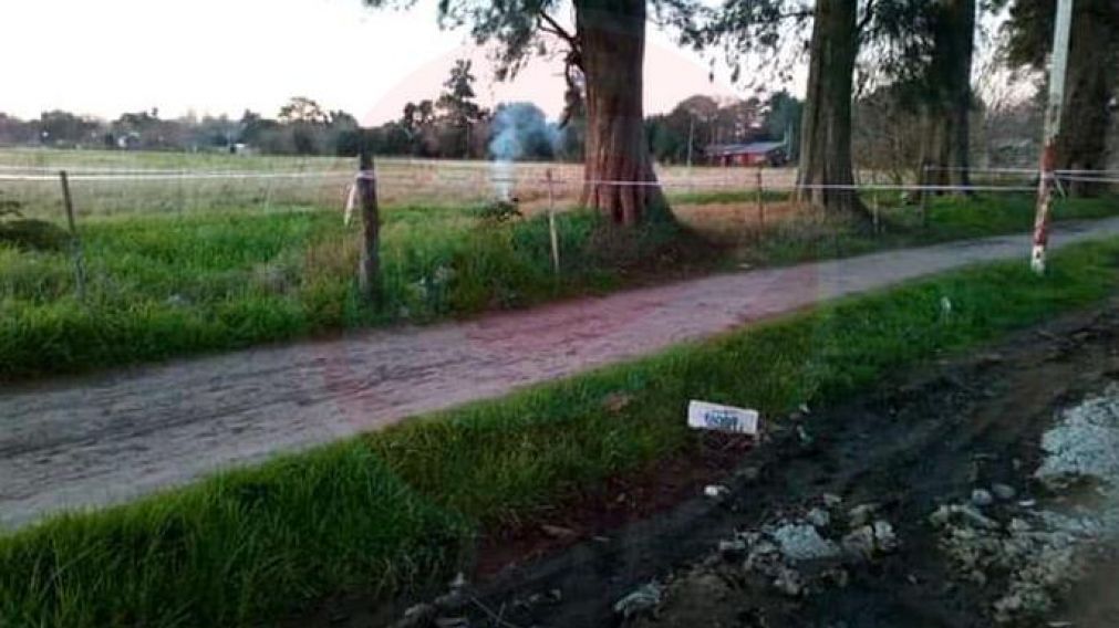 La foto del humo del cadáver.