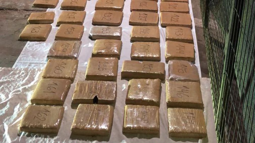 La droga decomisada (Prensa Policía de la Provincia de Buenos Aires).