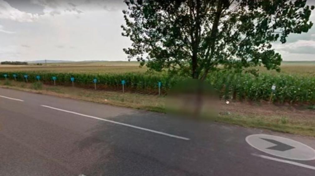El muchacho se desilusionó al ver a su novia en el mapa.