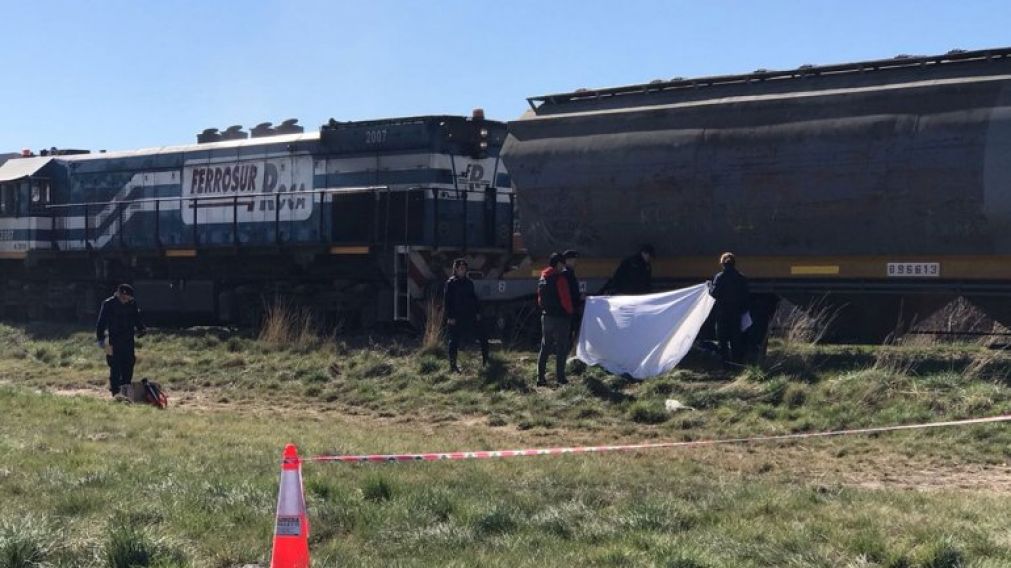 El tren no pudo frenar (LM Cipoletti).