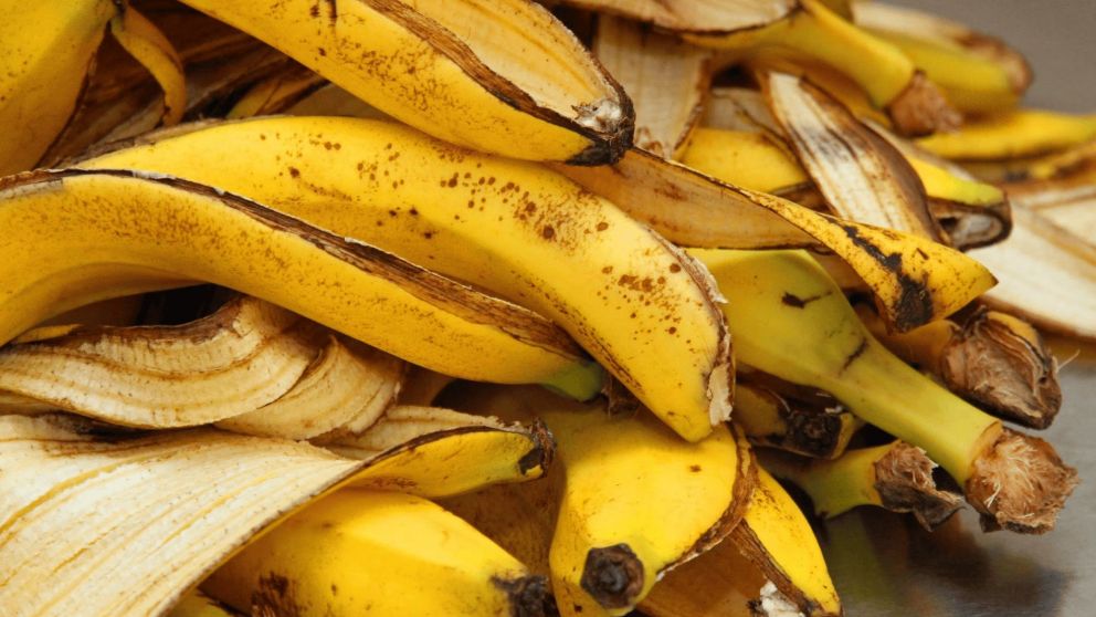 ¡Todavía sirve! Mirá para lo que podes usar la cáscara de banana