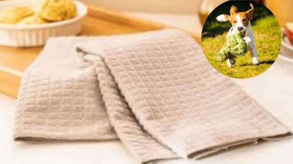 Cómo transformar los trapos de cocina viejos en un juguete para tu mascota.