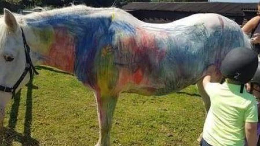 Denuncian maltrato animal.