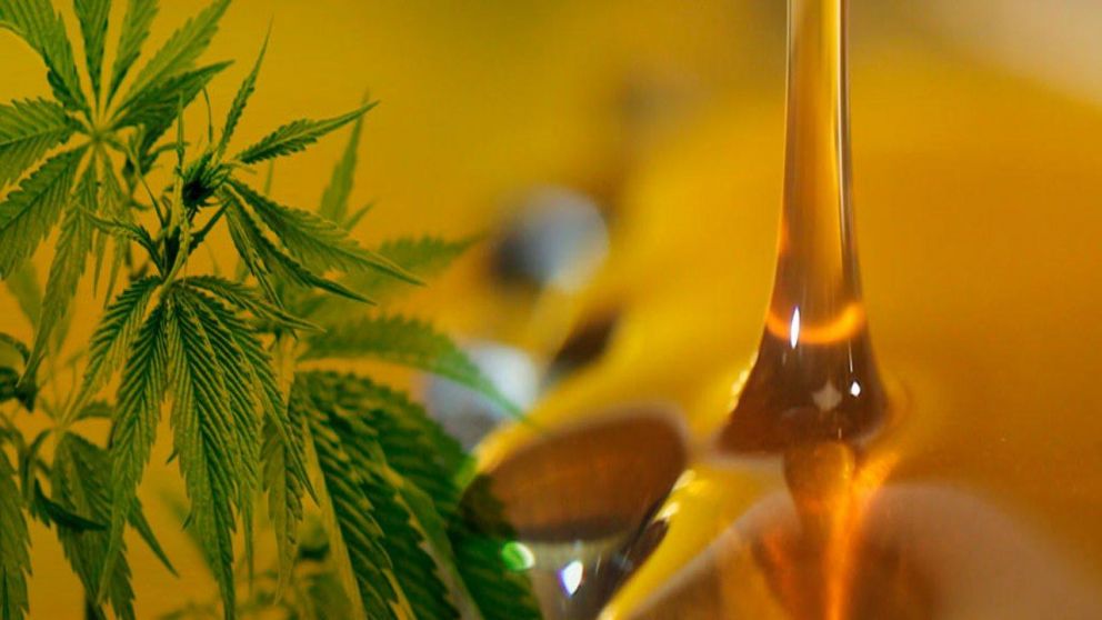 Aceite de cannabis. Cada vez son más los distritos que aprueban el uso de este producto. (Imagen archivo)