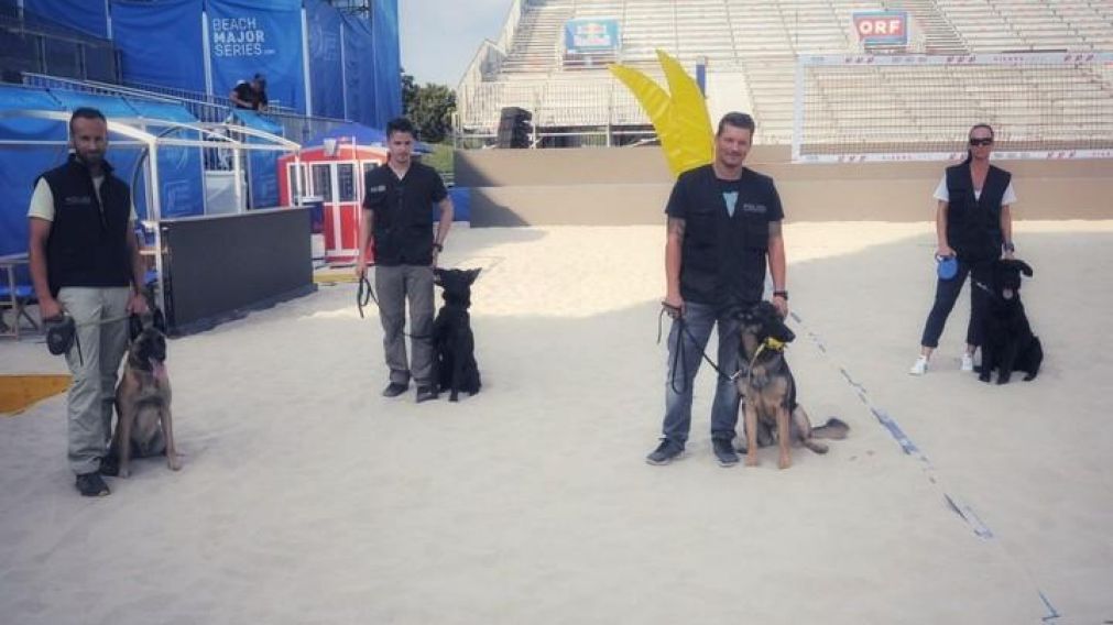 Los perros del torneo de fútbol playa, en Suiza, en la sombra para evitar quemaduras.