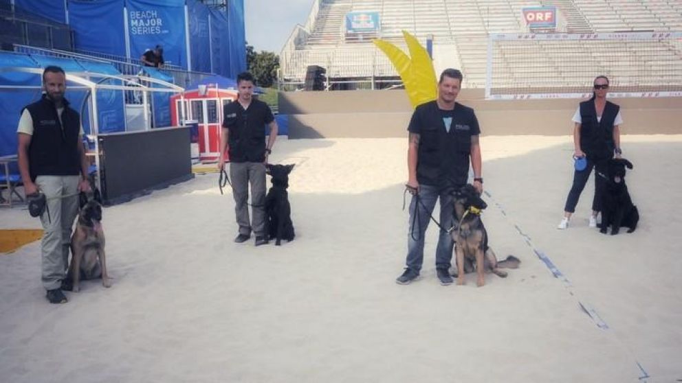 Los perros del torneo de fútbol playa, en Suiza, en la sombra para evitar quemaduras.