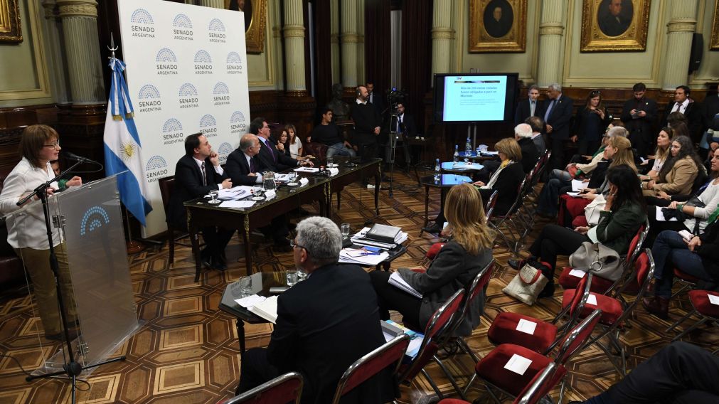 La última jornada de exposiciones ante las comisiones (Senado).